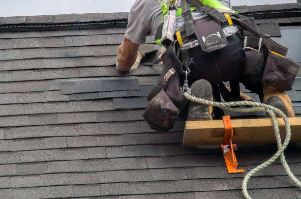 Best Storm Damage Roof Repair  in Mayville, MI