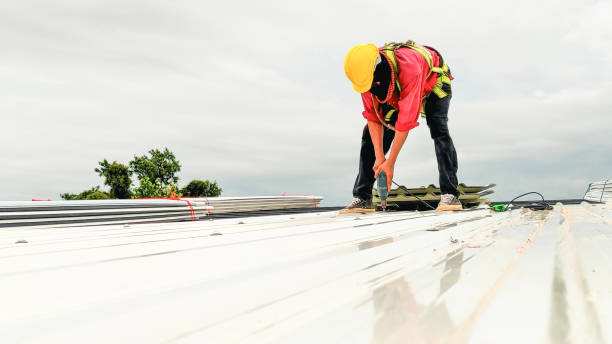 Best 4 Ply Roofing  in Mayville, MI