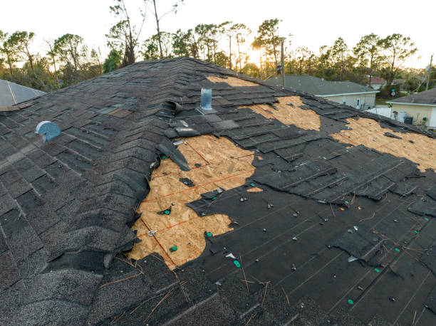 Best Roof Maintenance and Cleaning  in Mayville, MI