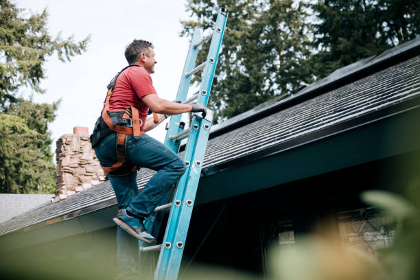 Best Roof Leak Repair  in Mayville, MI