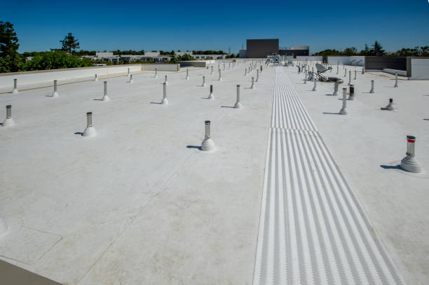 Best Roof Insulation Installation  in Mayville, MI
